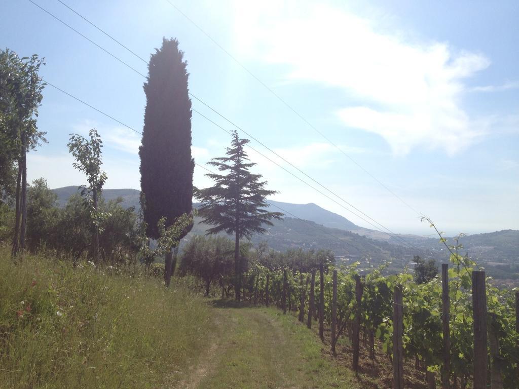 Villa Pandora Agropoli Room photo